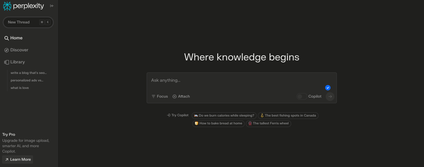 Perplexity Website